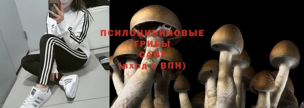первитин Ростов