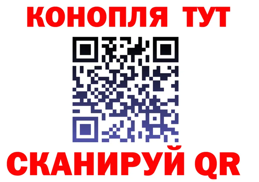 A PVP СК КРИС маркетплейс shop KRAKEN Канск
