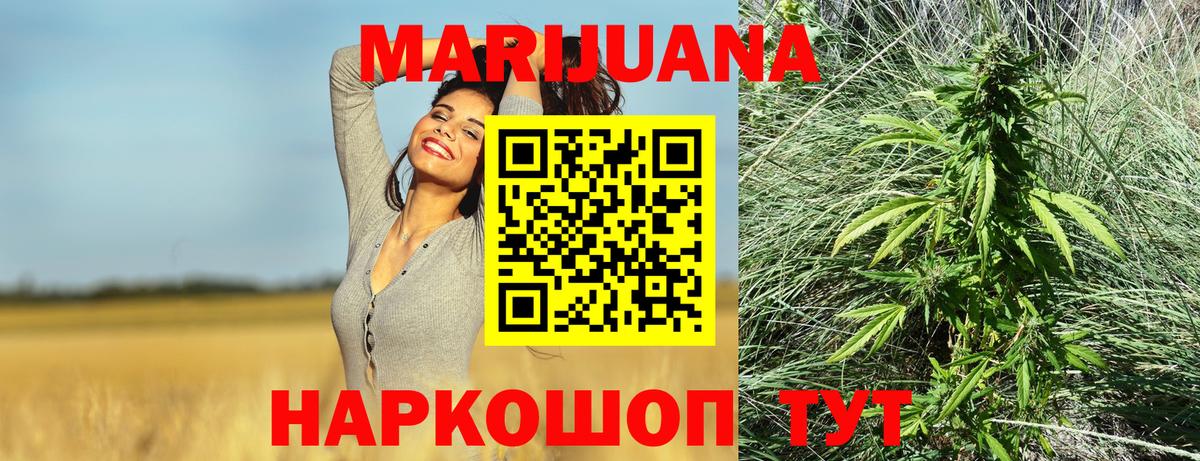 Каннабис конопля Канск